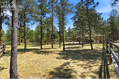 10916 Silver Mountain Point, Colorado Springs, CO 80908 - Photo 44