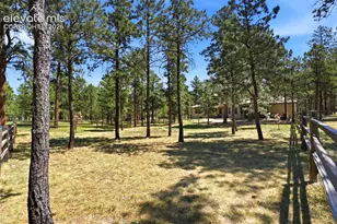 10916 Silver Mountain Point, Colorado Springs, CO 80908 - Photo 44