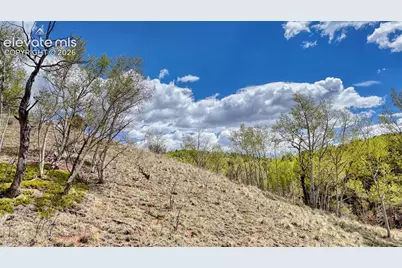 2031 Gold King Drive, Cripple Creek, CO 80813 - Photo 8