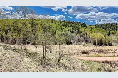 2031 Gold King Drive, Cripple Creek, CO 80813 - Photo 2