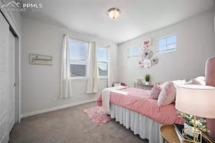 4208 Notch Trail, Colorado Springs, CO 80924 - Photo 30