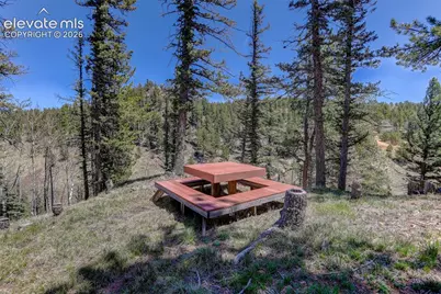 341 Rainbow Trail, Divide, CO 80814 - Photo 22