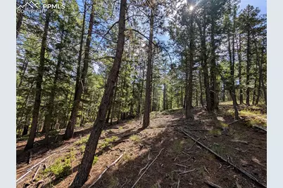 60 Fluorite Lane, Divide, CO 80814 - Photo 10