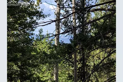 60 Fluorite Lane, Divide, CO 80814 - Photo 14