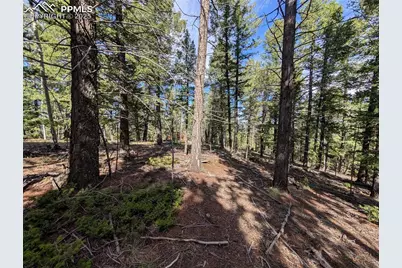 60 Fluorite Lane, Divide, CO 80814 - Photo 12