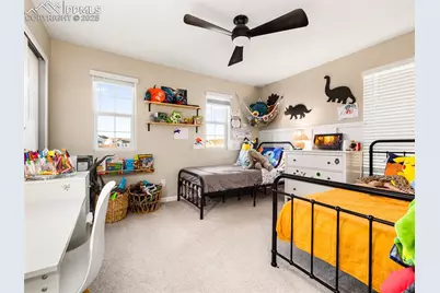 8069 Buffalo Horn Drive, Colorado Springs, CO 80925 - Photo 16