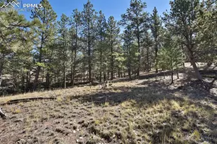 504 Bear Mountain Rd, Florissant, CO 80816 - Photo 1