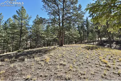 504 Bear Mountain Road, Florissant, CO 80816 - Photo 4