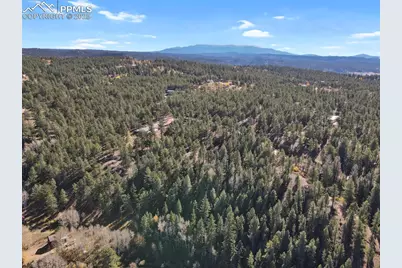 504 Bear Mountain Road, Florissant, CO 80816 - Photo 10