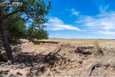 22555 County Road 49, Elbert, CO 80106 - Photo 22