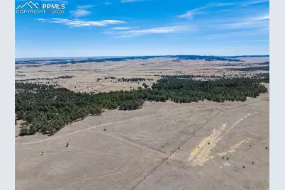 22555 County Road 49, Elbert, CO 80106 - Photo 42