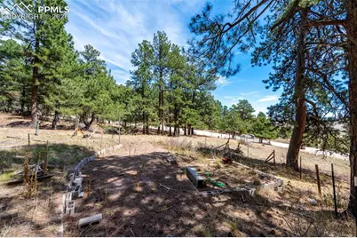 22555 County Road 49, Elbert, CO 80106 - Photo 8