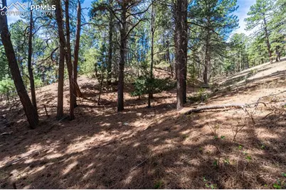 22555 County Road 49, Elbert, CO 80106 - Photo 10