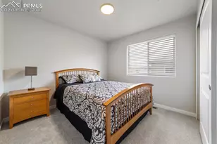 5289 Palomino Ranch Point, Colorado Springs, CO 80922 - Photo 12