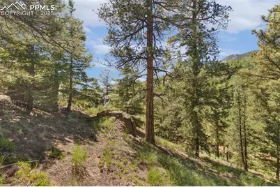 6050 Coffee Pot Road, Manitou Springs, CO 80829 - Photo 26
