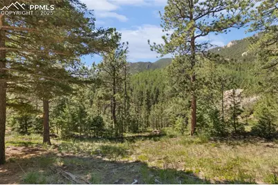 6050 Coffee Pot Road, Manitou Springs, CO 80829 - Photo 10