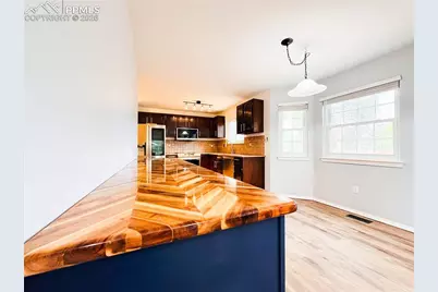 295 Pucket Circle, Colorado Springs, CO 80911 - Photo 10