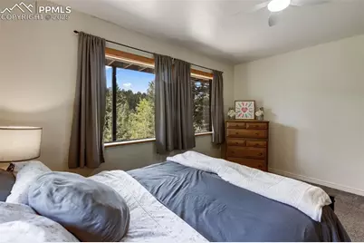 104 Mt Elbert Drive, Florissant, CO 80816 - Photo 36