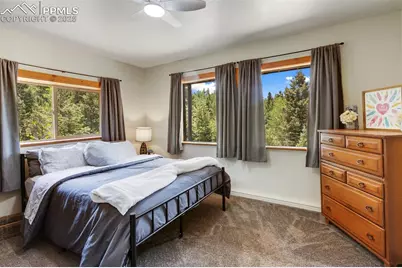 104 Mt Elbert Drive, Florissant, CO 80816 - Photo 34