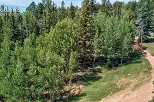 158 Rattler Ct, Cripple Creek, CO 80813 - Photo 1