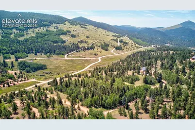 158 Rattler Court, Cripple Creek, CO 80813 - Photo 4