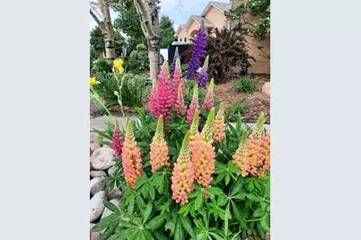 1009 Slate Way, Monument, CO 80132 - Photo 42