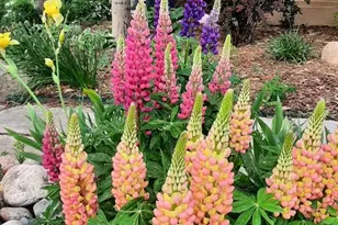 1009 Slate Way, Monument, CO 80132 - Photo 42