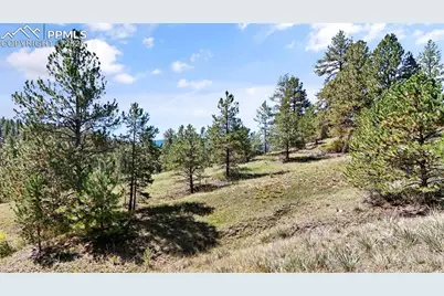 163 Valley View Drive, Florissant, CO 80816 - Photo 12