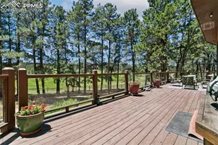 19902 W Elk Creek Dr, Colorado Springs, CO 80908 - Photo 42