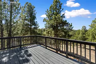 18 Mt Powderhorn Ln, Florissant, CO 80816 - Photo 34