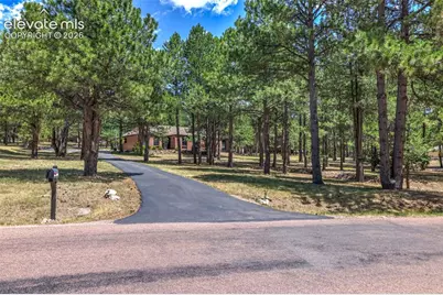 19095 White Fawn Drive, Monument, CO 80132 - Photo 42