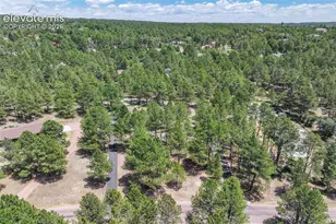 19095 White Fawn Dr, Monument, CO 80132 - Photo 44