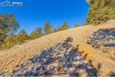 772 E Bison Creek Trail, Florissant, CO 80816 - Photo 1