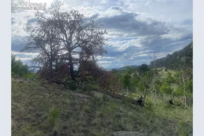 170 Emerald Way, Lake George, CO 80827 - Photo 6