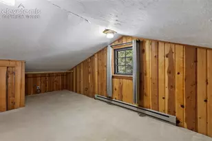 42 Bluebird Hill, Woodland Park, CO 80863 - Photo 30