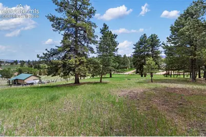 42 Bluebird Hill, Woodland Park, CO 80863 - Photo 6