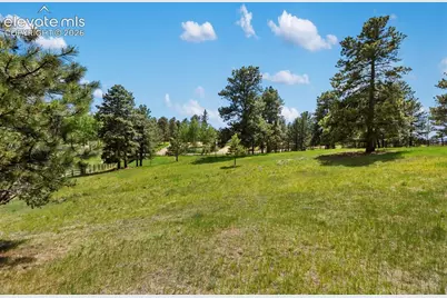 42 Bluebird Hill, Woodland Park, CO 80863 - Photo 8