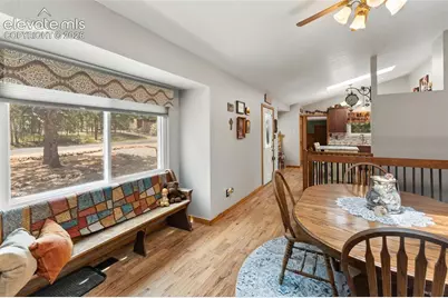 1010 W Bowman Avenue, Woodland Park, CO 80863 - Photo 22
