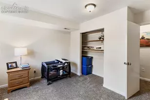 1010 W Bowman Ave, Woodland Park, CO 80863 - Photo 36