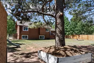 1010 W Bowman Ave, Woodland Park, CO 80863 - Photo 10