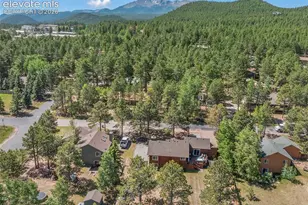 1010 W Bowman Ave, Woodland Park, CO 80863 - Photo 8