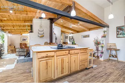 2493 County Road 782, Woodland Park, CO 80863 - Photo 14