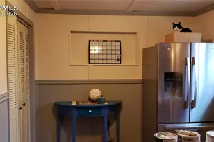 217 Skyline Dr, Woodland Park, CO 80863 - Photo 14