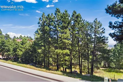 5625 Jarman Street, Colorado Springs, CO 80906 - Photo 6
