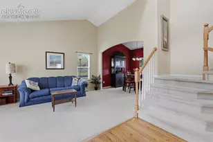 1353 Lookout Springs Dr, Colorado Springs, CO 80921 - Photo 8