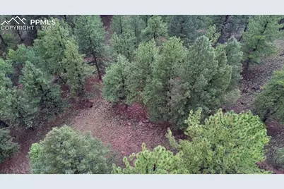 131 Lost Lake Circle, Divide, CO 80814 - Photo 20