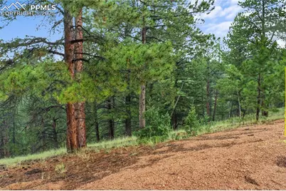 131 Lost Lake Circle, Divide, CO 80814 - Photo 4