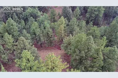 131 Lost Lake Circle, Divide, CO 80814 - Photo 18