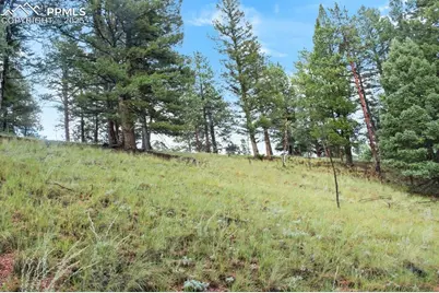 131 Lost Lake Circle, Divide, CO 80814 - Photo 12