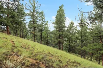 131 Lost Lake Circle, Divide, CO 80814 - Photo 8